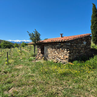  Terrain à vendre 7 pièces 252 m²