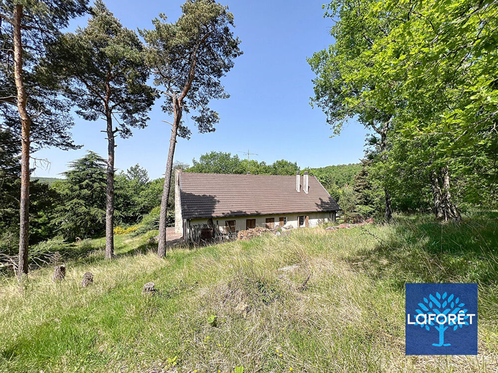 Maison Boutigny-sur-Essonne 11 pièces, 8 chambres, 11 418 m² de terrain boisé, cave totale, garage