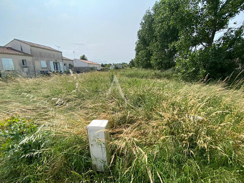 Vente Terrain Terrain constructible à Saint Michel En L'Herm St michel en l herm