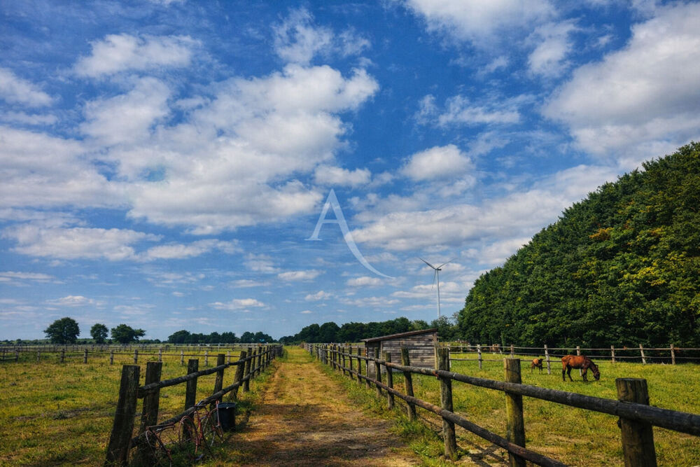 Vente Maison Propriété equestre Nozay Nozay