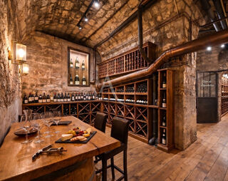  Appartement � vendre 5 pi�ces 292 m�