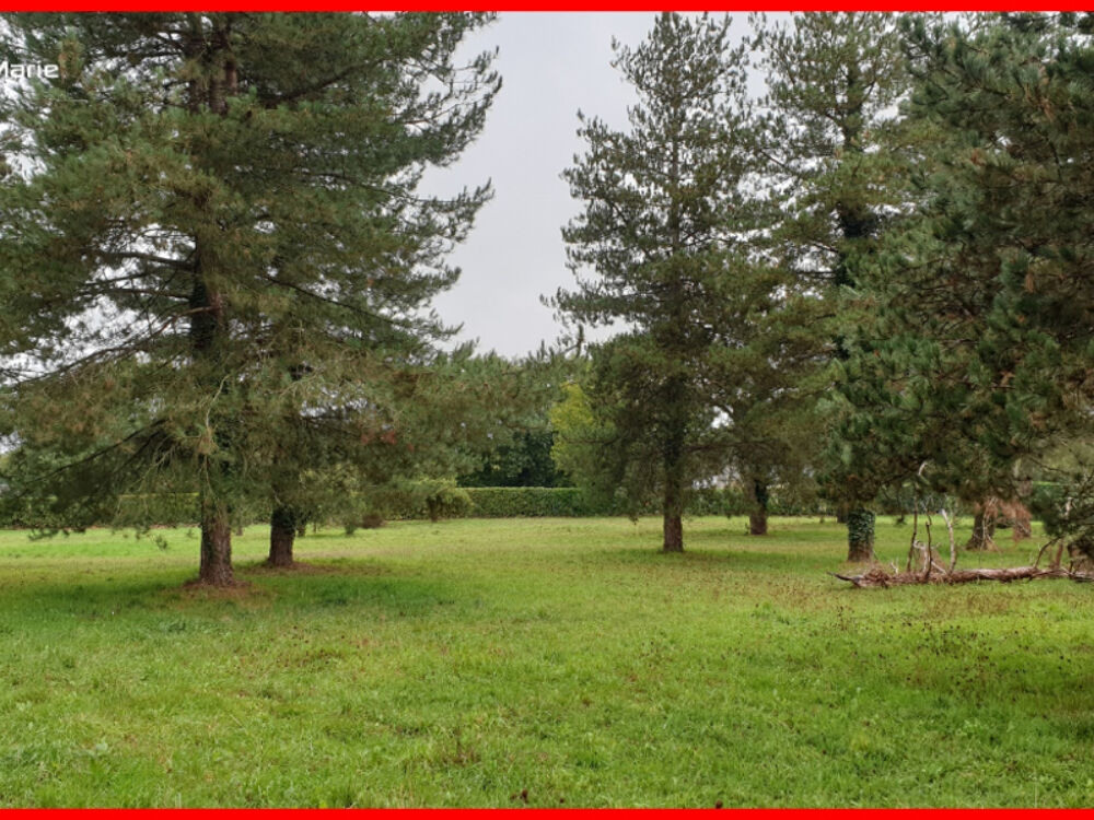 Vente Terrain Terrain Guemene Penfao 1249 m2 Guemene penfao