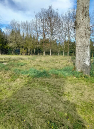  Terrain à vendre 990 m²