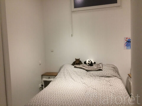  Appartement � louer 2 pi�ces 50 m�