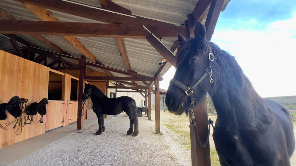 � vendre  Maison Villeneuve-sur-Lot (47300)