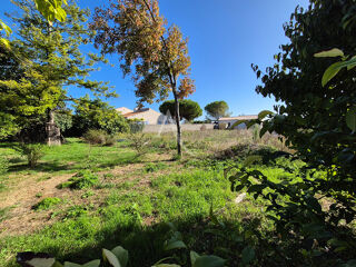  Terrain � vendre 323 m�