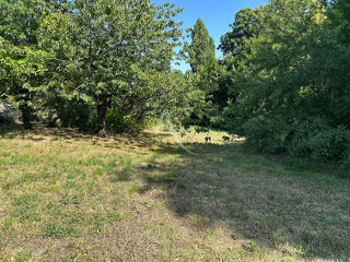  Terrain à vendre 5 pièces 755 m²