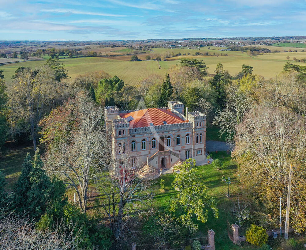 Demeure de prestige Lévignac Isle Jourdain 15 pièce(s) 460 m2