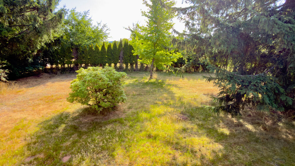 Rare sur le secteur ? situation dominante ? Commune de Saales