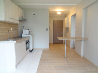  Appartement à louer 2 pièces 37 m²