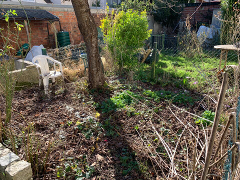  Appartement � louer 1 pi�ce 28 m�