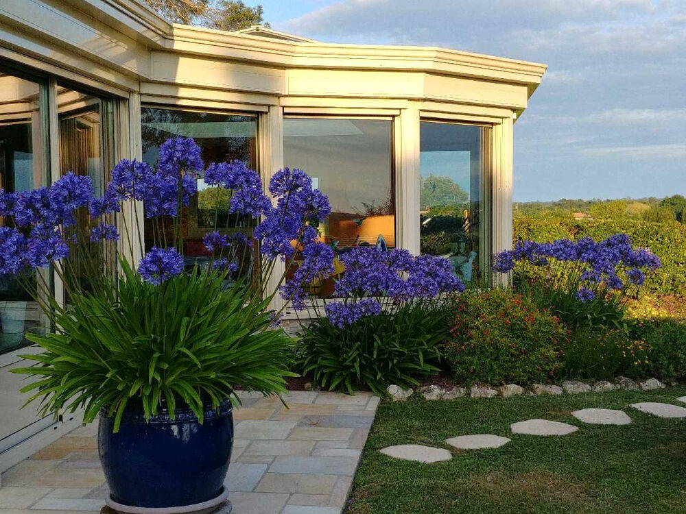 � vendre  Villa Sarraziet (40500)