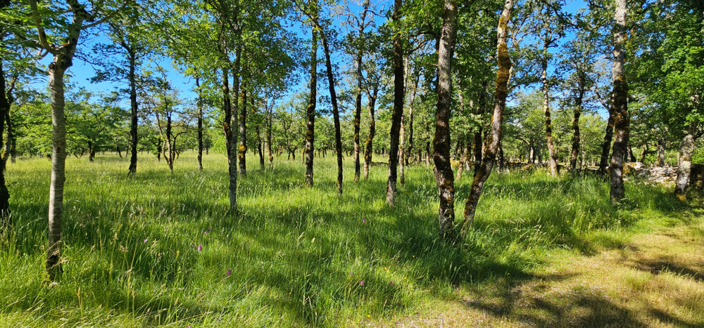 Propriété de charme en pierre au coeur des Causses du Quercy