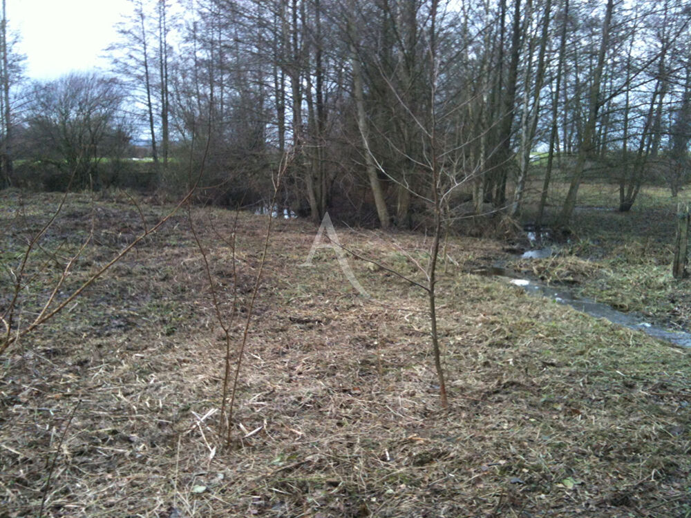 Vente Terrain Terrain de loisirs à 5min de Gournay-en-Bray Gournay en bray