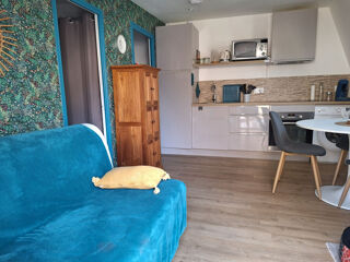  Appartement à louer 1 pièce 19 m²