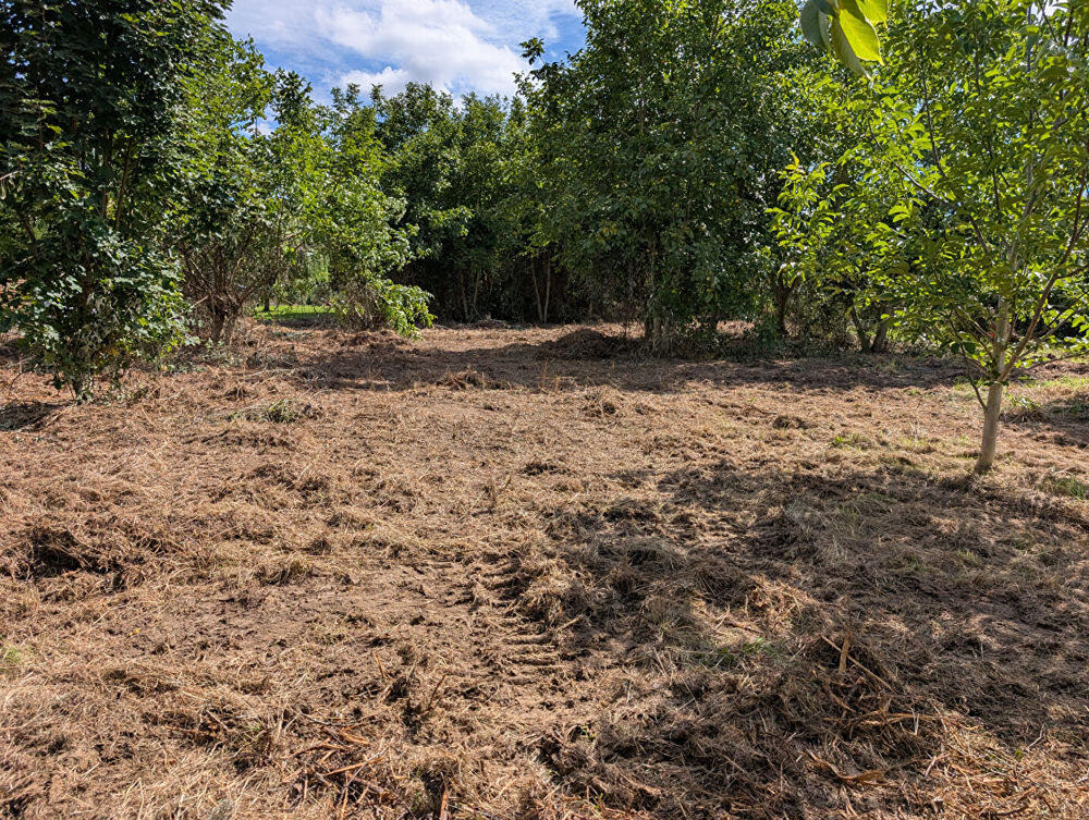 Vente Terrain Terrain à vendre à Nanteuil-lès-Meaux (77100)  798 m² viabilisé  Exposition plein Sud Nanteuil les meaux