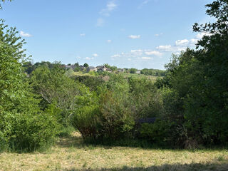  Terrain à vendre 10008 m²