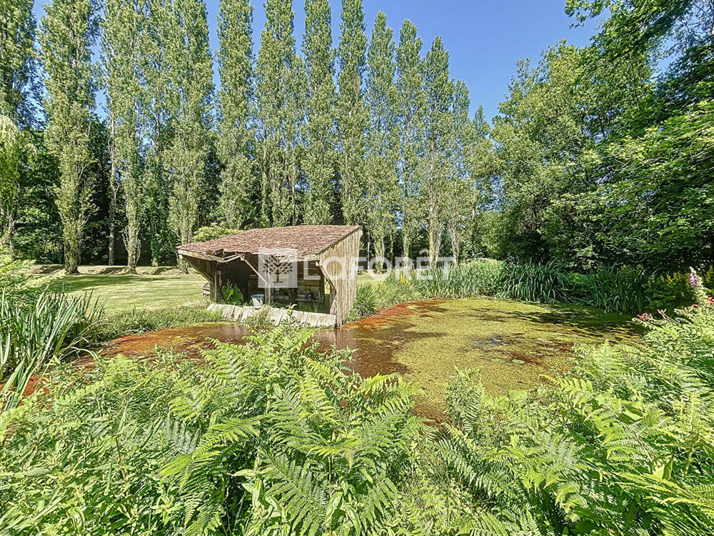 Vente Terrain Étang 2 Hectares avec chalet, bois et dépendances BRIOUZE - Normandie Briouze