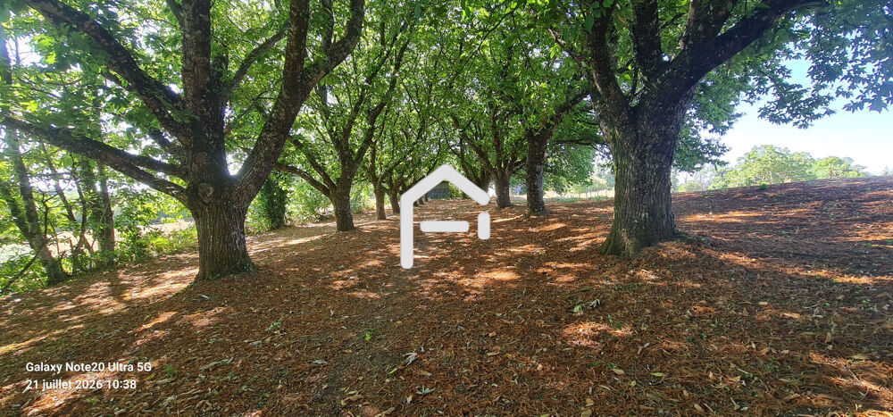 Vente Terrain Terrain constructible de 10 hectares à Estivaux avec granges et puit ! Perpezac le noir