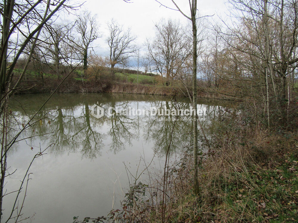 Vente Terrain Terrain de loisirs St Cyr De Favieres St cyr de favieres