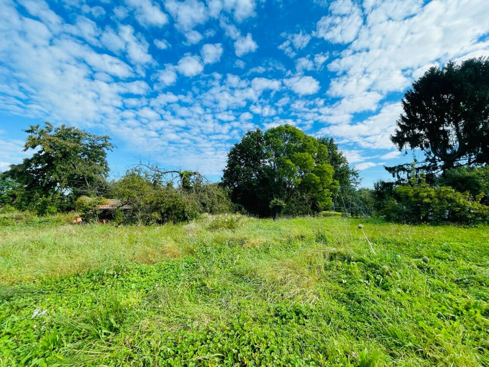 Vente Terrain 5 min de La Fert sous Jouarre La ferte sous jouarre