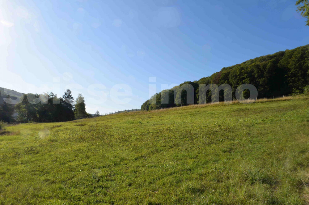 Vente Terrain Terrain Sancey le long