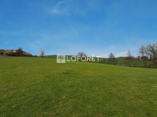  Terrain à vendre 1230 m²