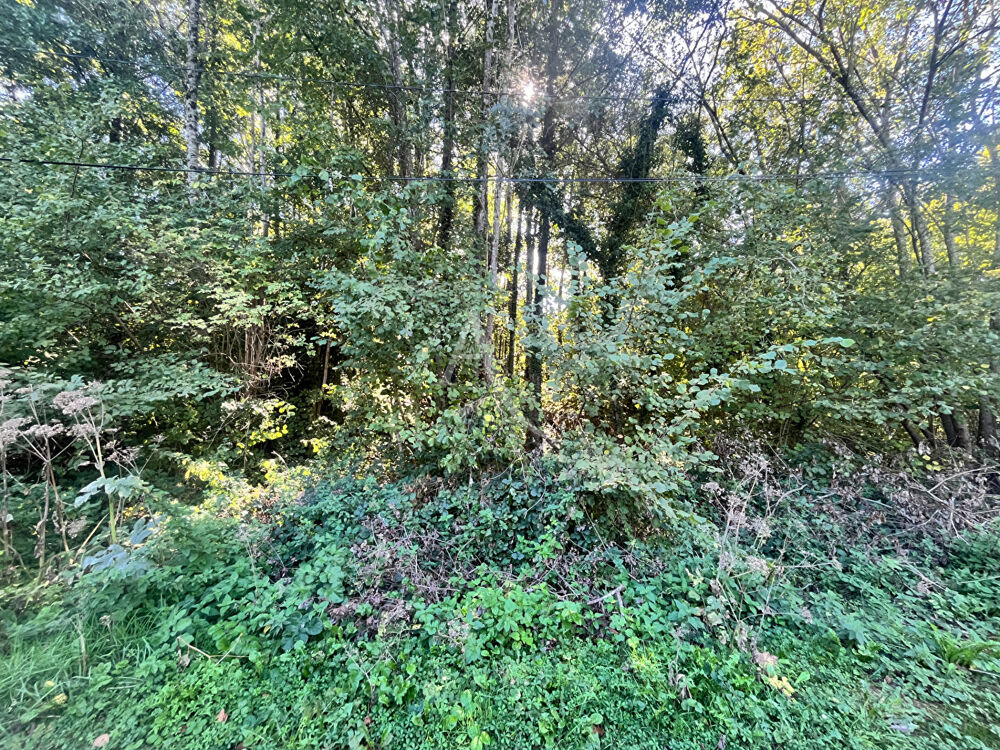 Vente Terrain SAINT MARTIN DE BRETHENCOURT - TERRAIN A BATIR Dourdan