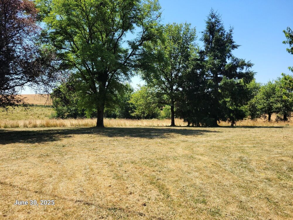Vente Maison Un corps de ferme avec dépendances - 7kms de Villefranche de Rouergue Morlhon le haut
