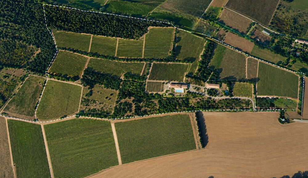 Vente Maison Domaine Viticole - Environnement privelegié Carcassonne