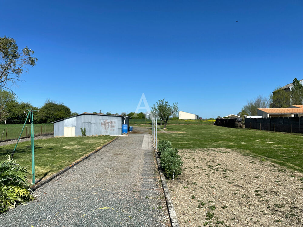 Maison Vix - 91 m² - terrain d'environ 2000 m²