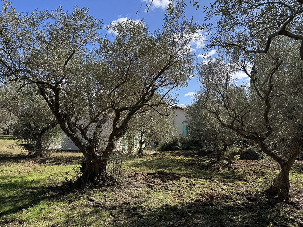 � vendre  Maison Villeneuve-l�s-Avignon (30400)