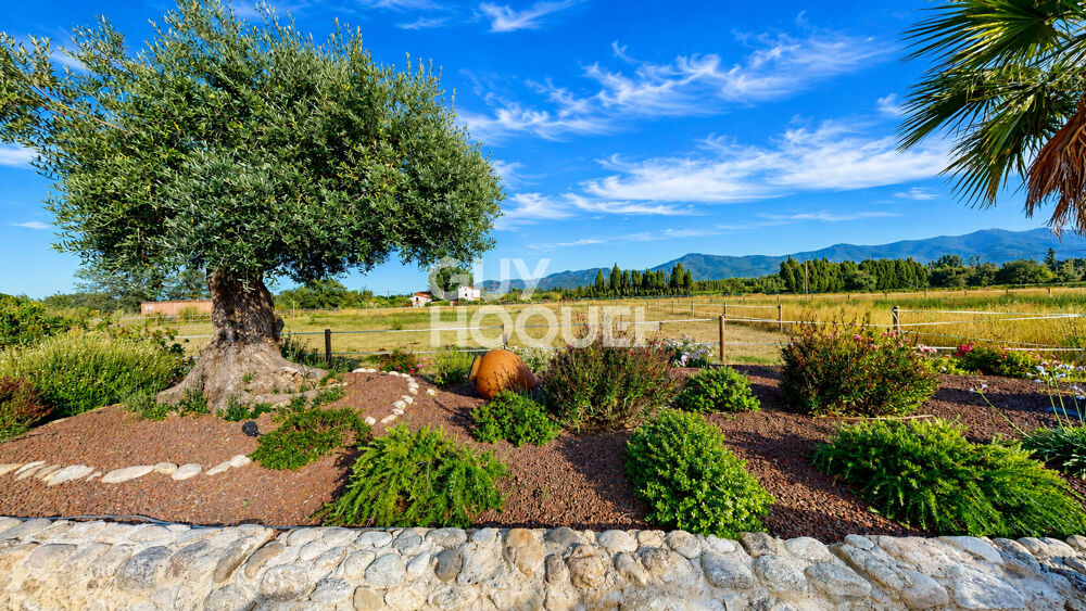 Demeure de prestige Saint Genis Des Fontaines 17 pièce(s) 410 m2 habitables +local agricole à usage commercial