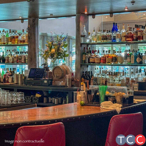 Fonds de commerce bar brasserie Gaillac avec tr&egrave;s belle terrasse et parking 324000 81600 Gaillac