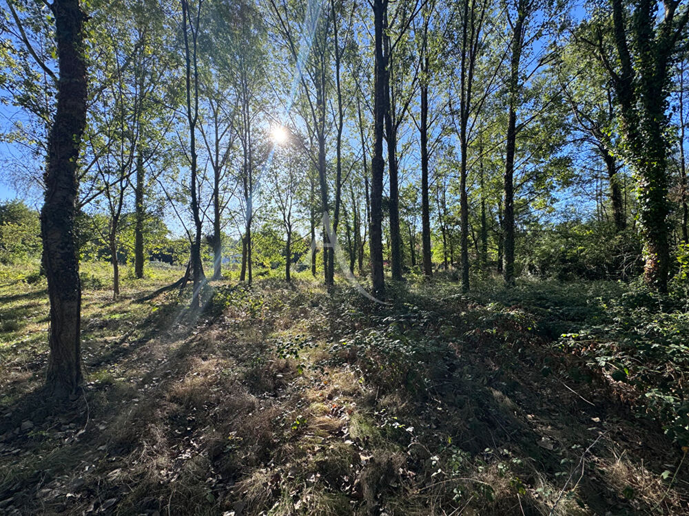 Vente Terrain Terrain de loisirs Venansault Venansault