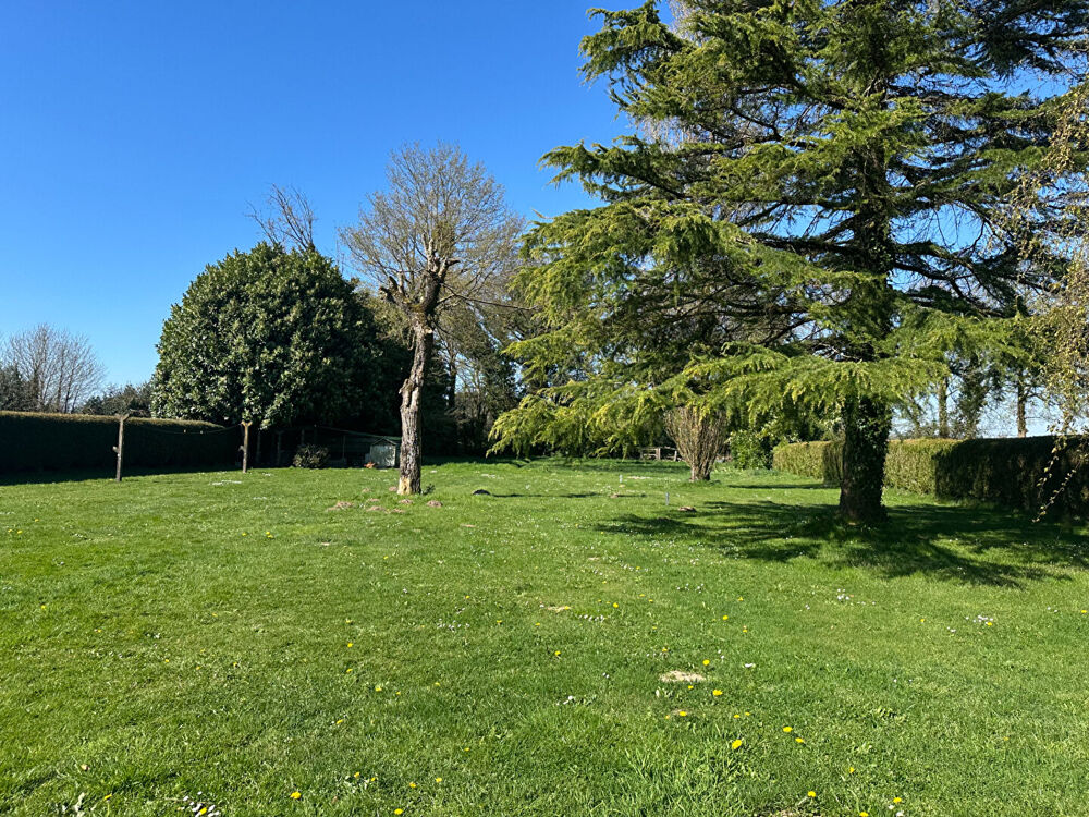 Vente Terrain Terrain de 1800 m² avec 400 m² constructibles à Limerzel Limerzel