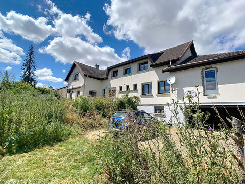   Maison Vicherey avec local professionnel et un appartement Maison - 12 pice(s) - 449 m