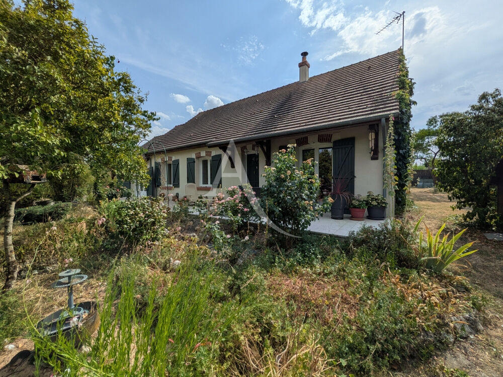 RILLY SUR LOIRE - 15 KMS D AMBOISE - 25 KMS DE BLOIS