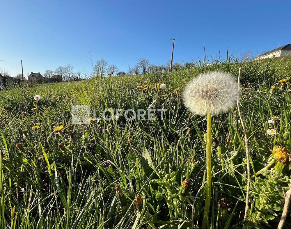 Vente Terrain PROCHE BOZOULS / SAINT-JULIEN DE RODELLE Rodelle