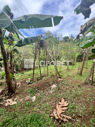  Terrain � vendre 890 m�