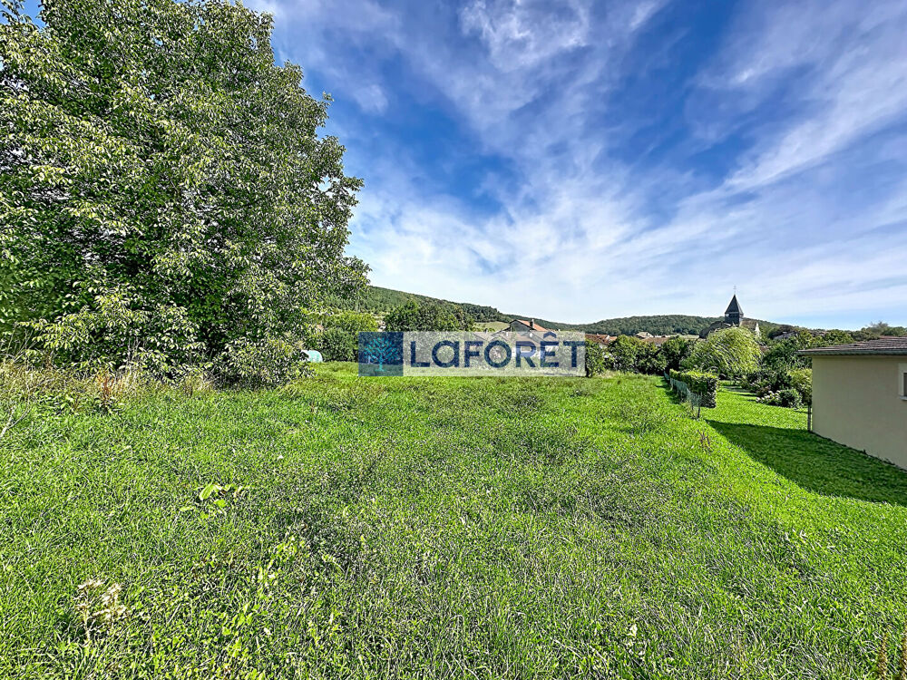 Vente Terrain Terrain constructible 1560m², POISSONS Poissons