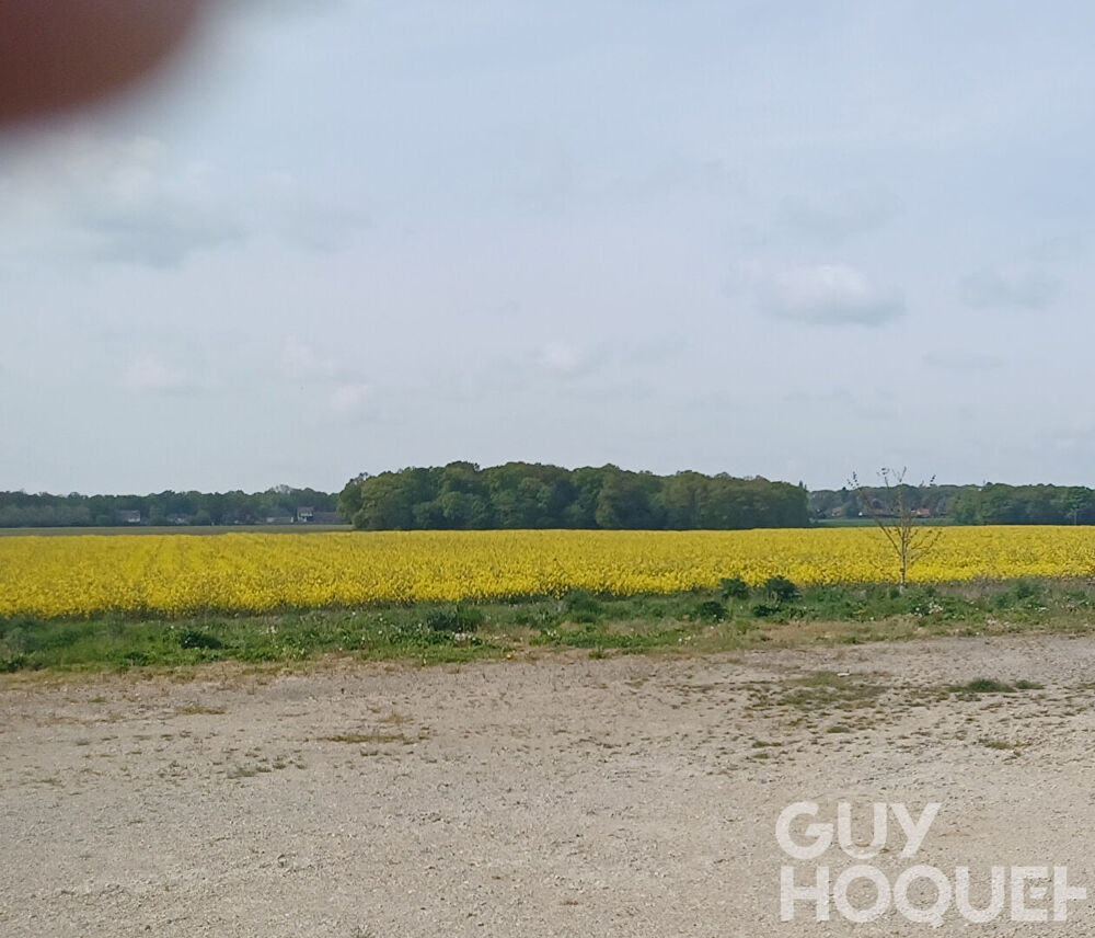 Vente Terrain Terrain Orphin 7 018 m2 Rambouillet