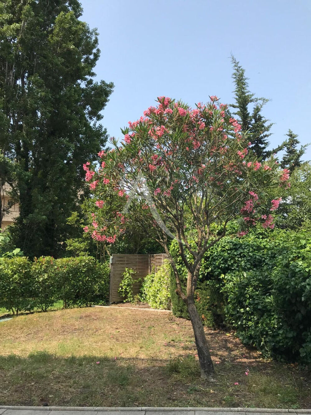 � vendre  Appartement Cannes (06400)