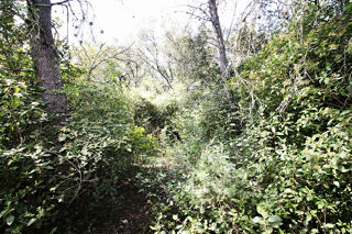  Terrain � vendre 5551 m�