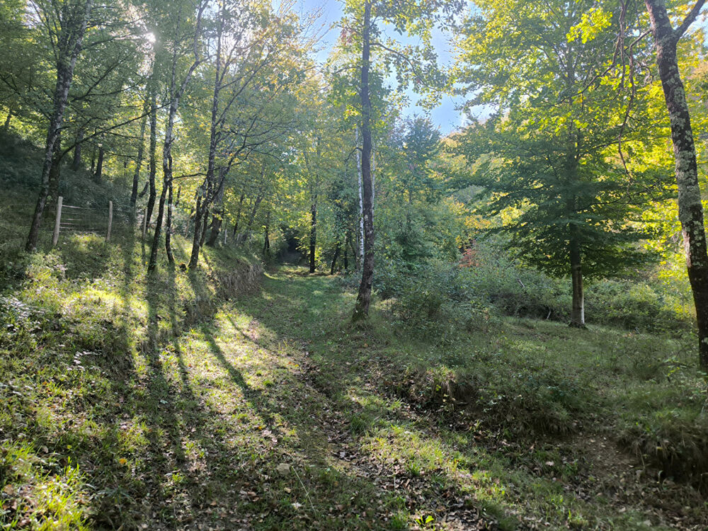 Vente Terrain Splendide terrain de 98 ha ,  30 HA de prairies , 78 HA de bois . Manses