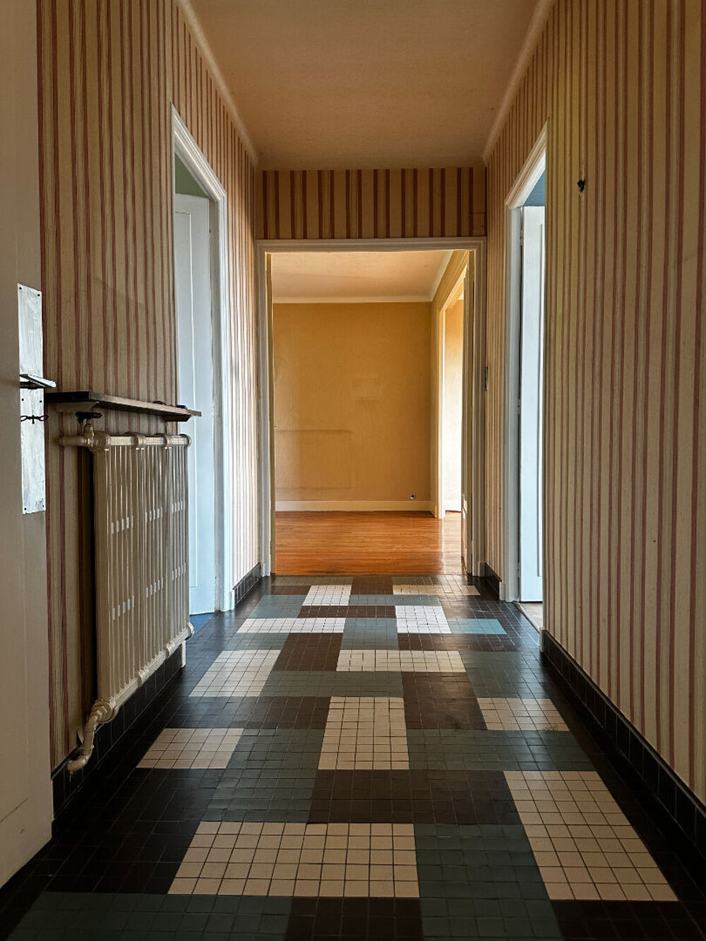 Nancy - Appartement 100 m2 - garage - cave
