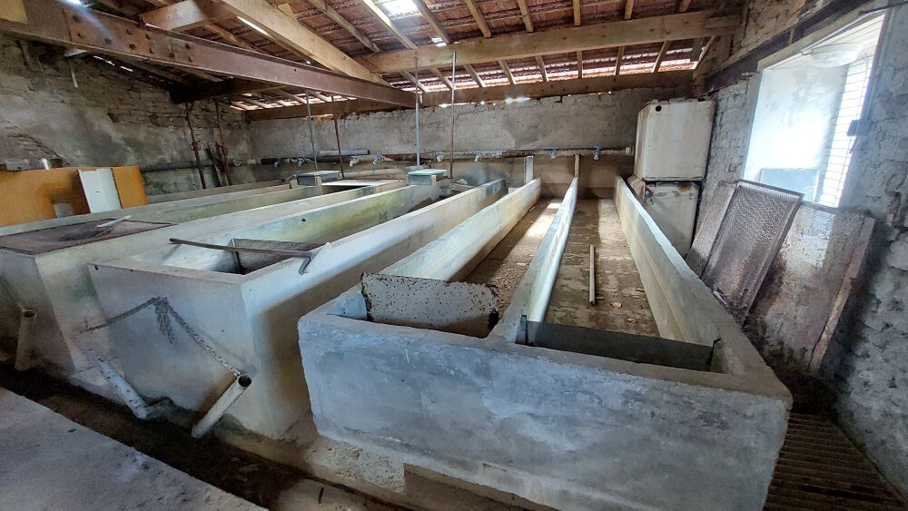 Vente Terrain PISCICULTURE - MURS ET FOND DE COMMERCE - 1.081 Hectare Soulce cernay