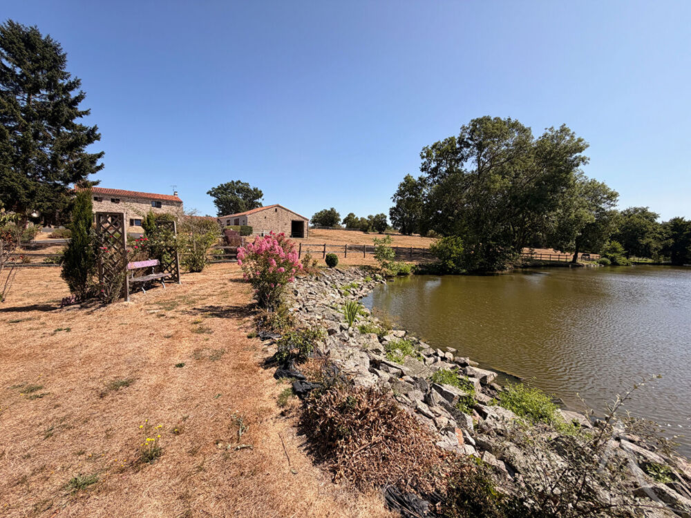Vente Maison Logis vendéen en pierre Montaigu-Vendée Montaigu vendee