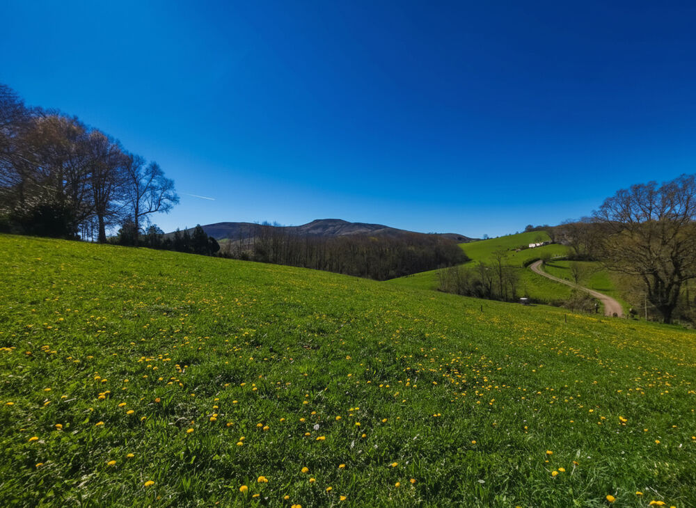 Vente Terrain Terrain à bâtir 1315m² - Vue montagne Hasparren