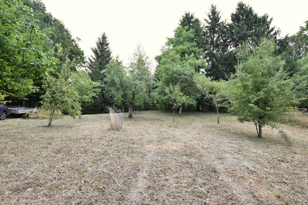 Vente Maison Maison Epeugney 5 pièces sur 3341 m² de terrain Epeugney